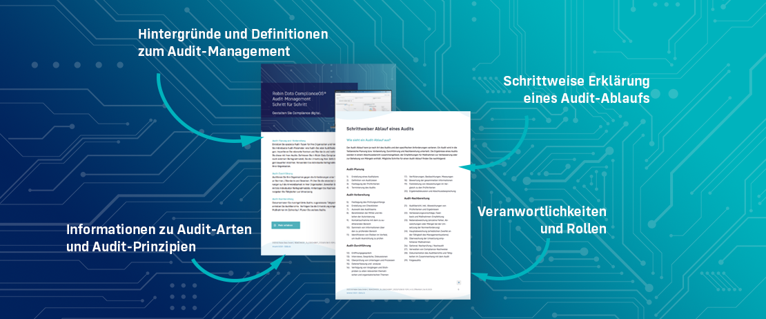 AuditManagement Effektive Methoden und Best Practices